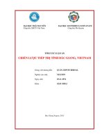 tóm tắt luận án chiến lược tiếp thị của tỉnh bắc giang, việt nam