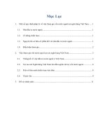 việc tham gia vốn nước ngoài tại các ngân hàng việt nam