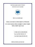 NÂNG CAO CHẤT LƯỢNG DỊCH VỤ TÍN DỤNG CỦA NGÂN HÀNG NÔNG NGHIỆP VÀ PHÁT TRIỂN  NÔNG THÔN VIỆT NAM