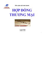 tiểu luận hợp đồng thương mại