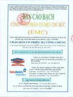 bản cáo bạch công ty cổ phần cơ điện thủ đức chào bán cổ phiếu ra công chúng năm 2010