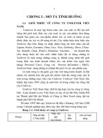 báo cáo tốt nghiệp ngành kinh tế : công ty Unilever ViệtNam