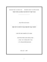 một số vấn đề về mật độ mức hạt nhân