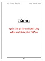 nguồn nhân lực đối với sự nghiệp công nghiệp hóa, hiện đại hóa ở việt nam