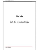 tìm hiểu các vấn đề về quỹ đầu tư chứng khoán