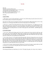 Bệnh lý Suy tim Phải và trái