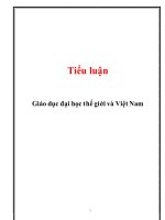 giáo dục đại học thế giới và việt nam