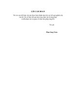 Hiện trạng, tiềm năng và các giải pháp bảo vệ, phát triển bền vững nguồn lợi nghêu (meretrix lyrata sowerby, 1851) huyện bình đại, tỉnh bến tre