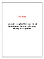 hoàn thiện công tác kiểm toán nội bộ hoạt động tín dụng tại ngân hàng thương mại việt nam