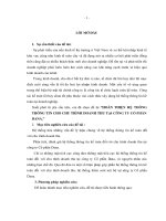 HOÀN THIỆN hệ THỐNG THÔNG TIN CHO CHU TRÌNH DOANH THU tại CÔNG TY cổ PHẦN DANA