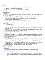 Thấp tim _ bệnh lý thấp tim cấp