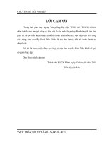 hoạt động xúc tiến thương mại tại văn phòng đại diện tedis tại tp.hcm