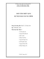 phân tích triển vọng dự toán báo cáo tài chính