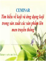 Tìm hiểu về koji và ứng dụng koji trong sản xuất các sản phẩm lên men truyền thống