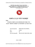 áp dụng chiến lược kinh doanh hiệu ứng mạng trong nghiệp vụ e-banking tại việt nam