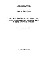 luận văn thạc sĩ giải pháp hạn chế rủi ro trong kinh doanh ngân hàng của các ngân hàng thương mại tại nha trang
