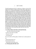 Tiểu luận tìm hiểu về tinh bột biến tính