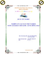 đồ án tốt nghiệp nghiên cứu sản xuất thử nghiệm nước giải khát chè xanh – gừng đóng chai