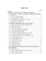 nghiên cứu đẩy mạnh tiêu thụ sản phẩm tại công ty trách nhiệm hữu hạn thương mại dịch vụ tin học an phát