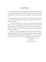 đồ án tốt nghiệp nghiên cứu chiết xuất tinh dầu xông giải cảm