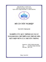 Nghiên cứu quy trình sản xuất nấm hoàng chi trên giá thể bã mía kết hợp mùn cưa truyền thống