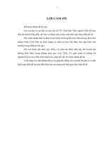 Nghiên cứu sấy khô mực ống lột da bằng phương pháp sấy bức xạ năng lượng mặt trời kết hợp với đối lưu