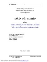 nghiên cứu sử dụng dầu thực vật làm nhiên liệu thay thế cho động cơ diesel cỡ nhỏ