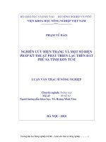 Luận văn thạc sĩ nghiên cứu hiện trạng và một số biện pháp kỹ thuật phát triển lạc trên đất phù sa tỉnh kon tum