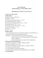 đồ án chỉnh trị sông