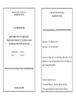 hoàn thiện công tác kiểm soát thanh toán vốn đầu tư xây dựng cơ bản tại kho bạc nhà nước quảng nam tóm tắt