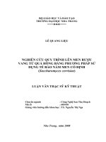 nghiên cứu quy trình lên men rượu vang từ quả hồng bằng phương pháp sử dụng tế bào nấm men cố định (saccharomyces cervisiae)