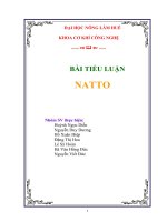 sản phẩm truyền thống natto