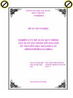 Nghiên cứu xây dựng quy trình sản xuất sản phẩm súp hải sâm từ nguyên liệu hải sâm cát ( holothuria scabra)