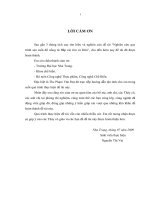 Đồ án tốt nghiệp nghiên cứu quy trình sản xuất đồ uống từ bắp cải tím và dứa