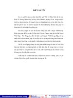 một số giải pháp nhằm hoàn thiện hệ thống tiêu thụ sản phẩm tại công ty tnhh long hiệp