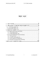 trình bày cơ sở lý thuyết tính toán quá trình khuấy  năng lượng quá trình khuấy phụ thuộc các yéu tố nào