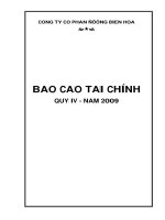 công ty cổ phần đường biên hòa báo cáo tài chính quý 4 năm 2009