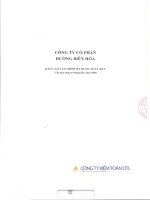công ty cổ phần đường biên hòa báo cáo tài chính đã được soát xét cho giai đoạn 6 tháng đầu năm 2009