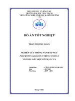 nghiên cứu trồng nấm bào ngư plerotus abalonus trên giá thể vỏ trấu kết hợp với mạt cưa