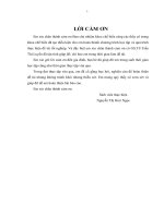 Nghiên cứu sản xuất thử nghiệm nước giải khát từ malt đậu xanh và nha đam