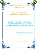 Nghiên cứu quy trình sản xuất đồ hộp hải sâm cát (holothuria scabra) tự nhiên