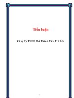 công ty tnhh hai thành viên trở lên