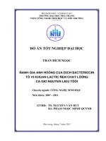Đánh giá ảnh hưởng của dịch bacteriocin từ vi khuẩn lactic đến chất lượng cá giò nguyên liệu tươi