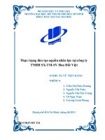 thực trạng đào tạo nguồn nhân lực tại công ty tnhh sx-tm-sv hoa đất việt