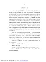thiết kế sơ bộ tàu lưới kéo khai thác xa bờ, kế thừa kinh nghiệm của ngư dân tỉnh bình định