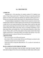 nghiên cứu tác dụng của chế phẩm hpmax trong điều tri loét hành tá tràngcó helicobacter pylori bản tóm tắt tiếng anh