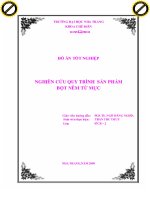 Đồ án tốt nghiệp NGHIÊN cứu QUI TRÌNH sản PHẨM bột nêm từ mực