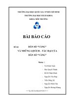 dân số vàng và những lợi ích - tác hại của dân số vàng