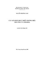 các giải pháp phát triển thương hiệu cho công ty anh khoa