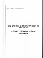 công ty cổ phần đường ninh hòa báo cáo tài chính giữa niên độ quý 2 năm 2013